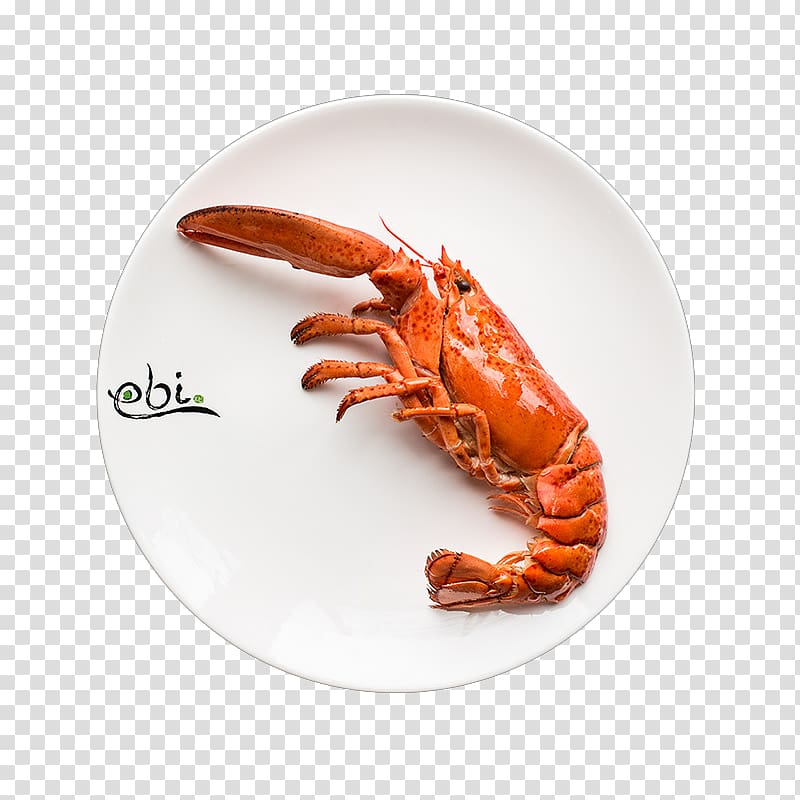American lobster European lobster Dungeness crab Teppanyaki Restaurant Ebi 7, ebi transparent background PNG clipart