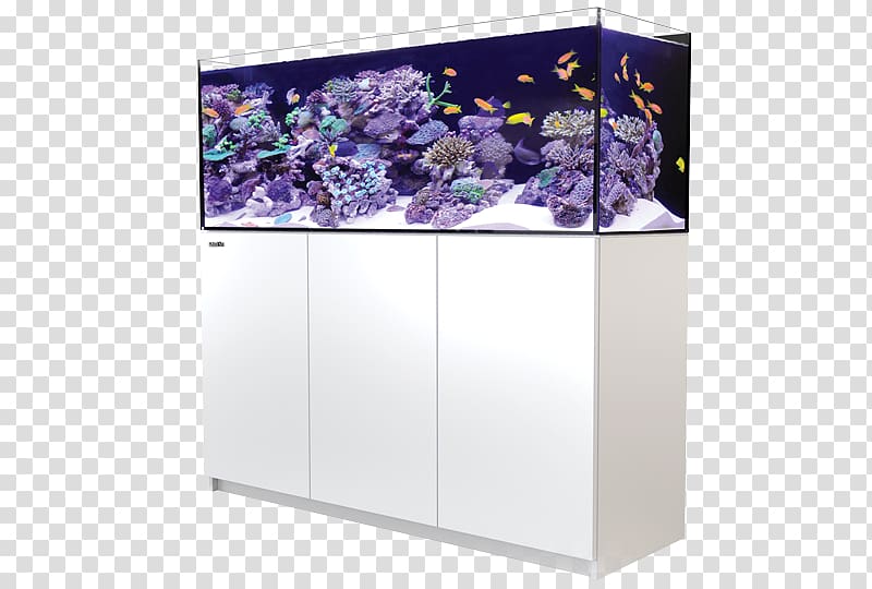 Red Sea Reefer 350 Aquariums Reef aquarium Red Sea Reefer 170, Reef Aquarium transparent background PNG clipart