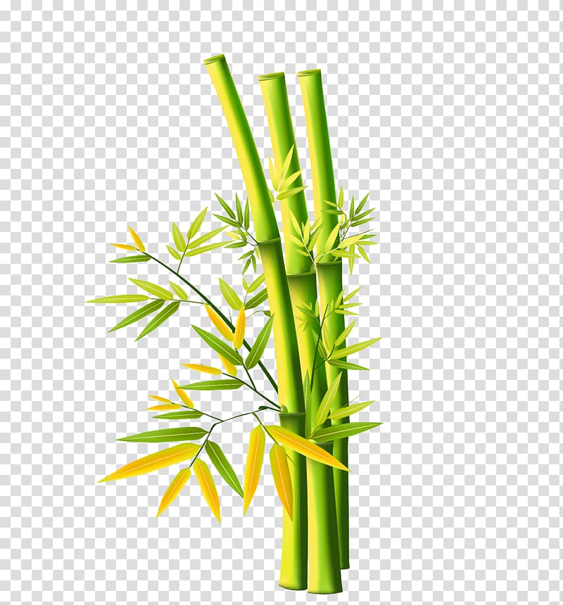 Bamboo painting Bamboo painting Chinese painting, Green simple bamboo decoration pattern transparent background PNG clipart