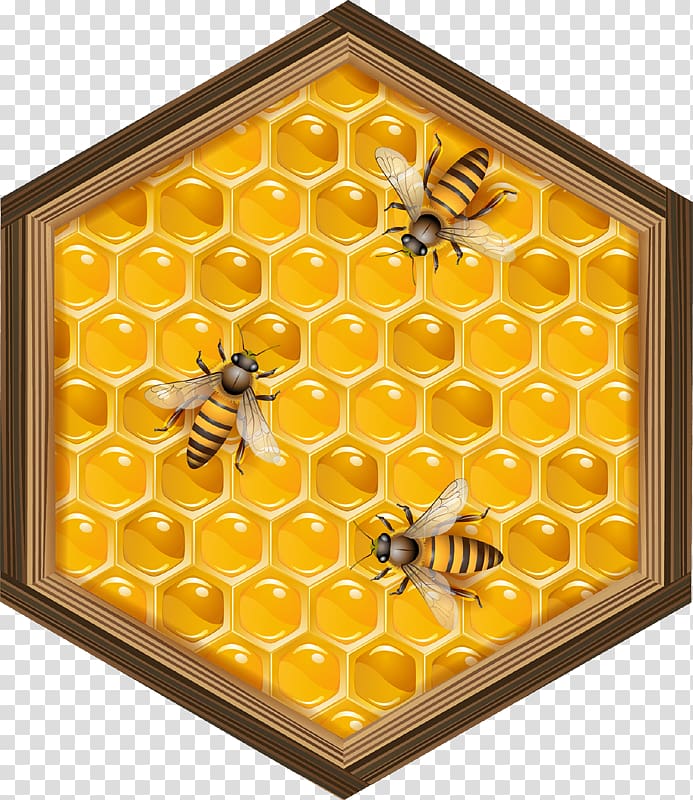 Beehive Honeycomb, bee transparent background PNG clipart
