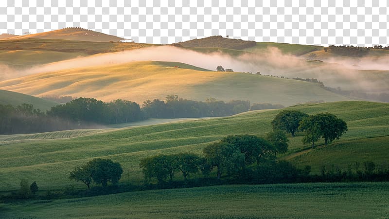 green leafed trees beside grass, Tuscany Landscape Mobile phone , Italy Tuscany six transparent background PNG clipart