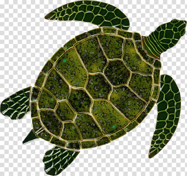 Loggerhead sea turtle Tortoise Green sea turtle, turtle transparent background PNG clipart
