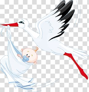 Stork transparent background PNG clipart