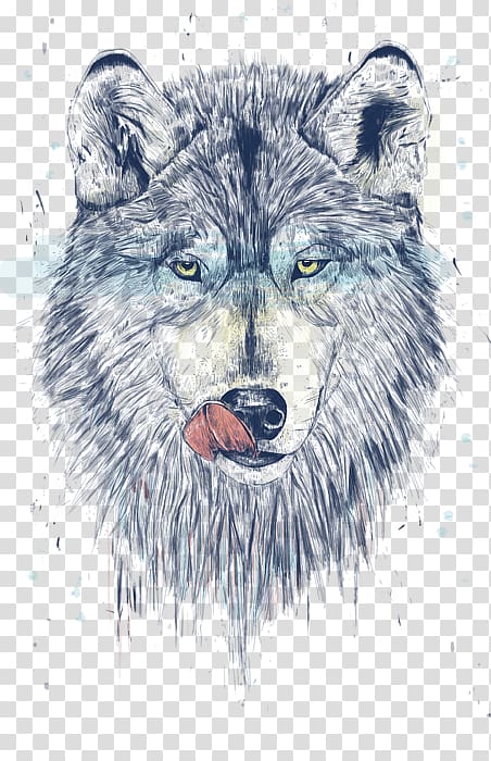 Alaskan tundra wolf Coyote Artist, DINNER TIME transparent background PNG clipart
