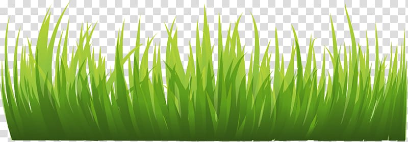 Grass transparent background PNG clipart