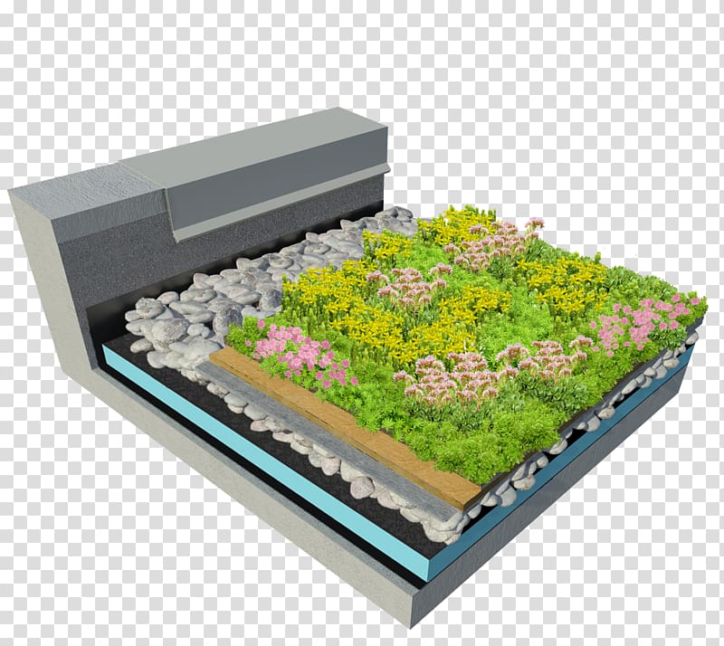 Green roof Stonecrop American Hydrotech, Inc. Retrofitting, transparent background PNG clipart