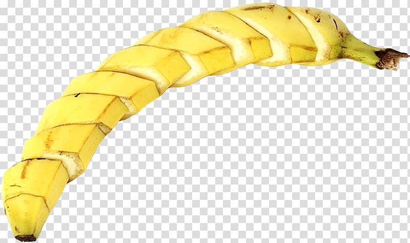 Banana Insect Larva Invertebrate, banana transparent background PNG clipart