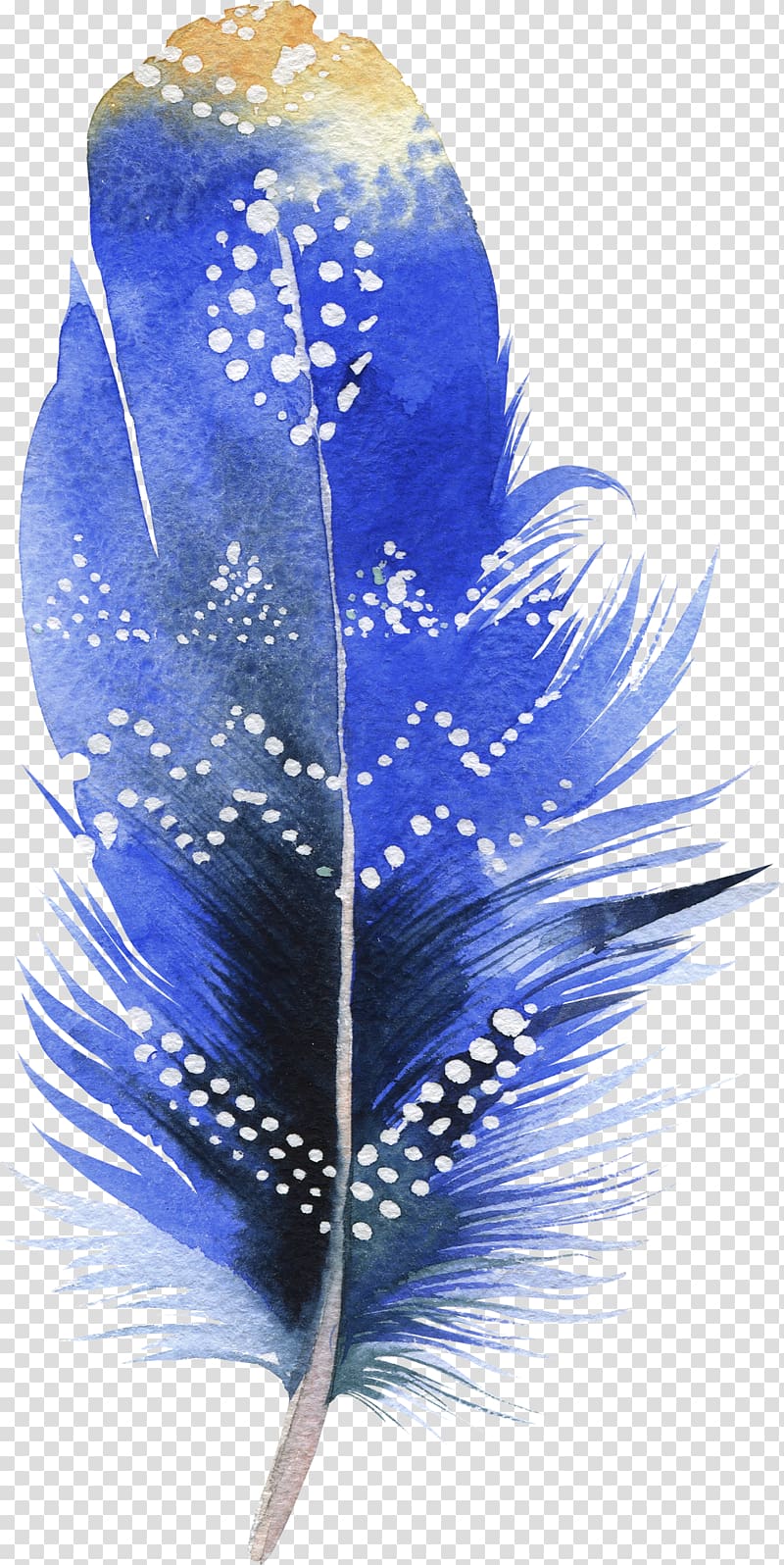 Bird Feather Watercolor painting Drawing, feather transparent background PNG clipart
