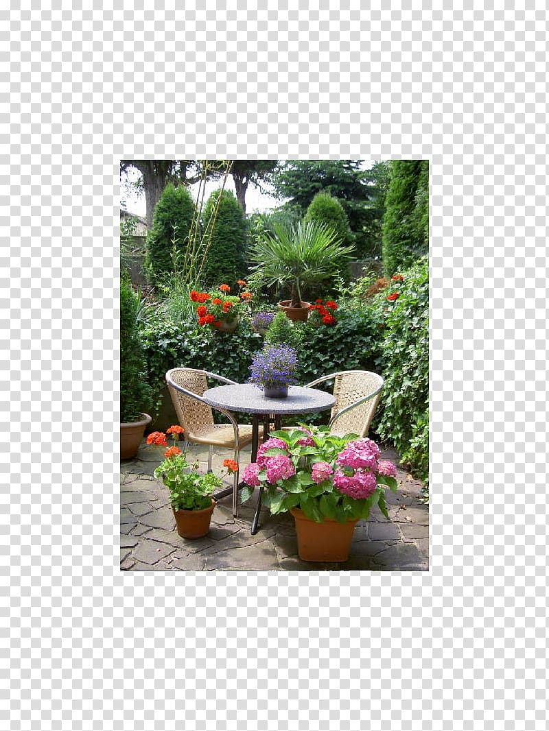 Backyard Herb Lawn Meter Houseplant, Oberschwaben Tourismus Gmbh transparent background PNG clipart