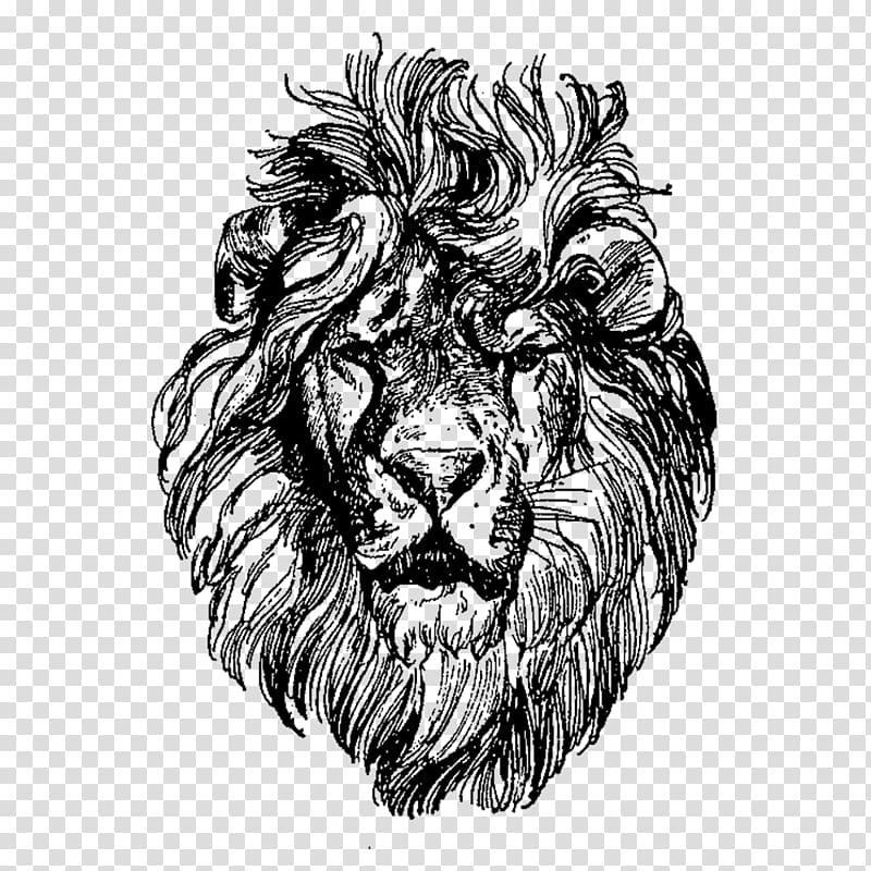 Lionhead rabbit Drawing , lion face transparent background PNG clipart