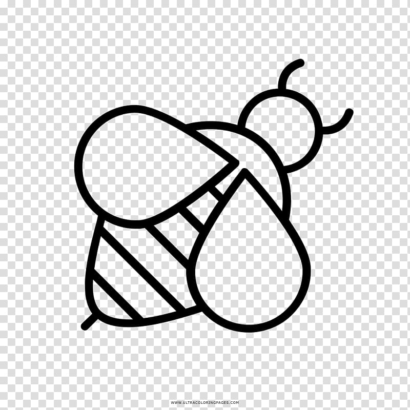 Western honey bee Maya Coloring book Drawing, bee transparent background PNG clipart