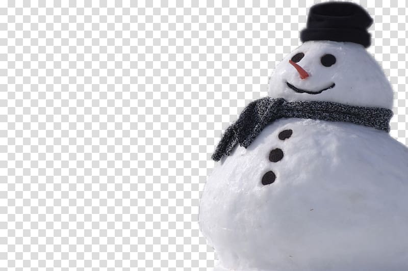 Snowman , Real Snowman transparent background PNG clipart