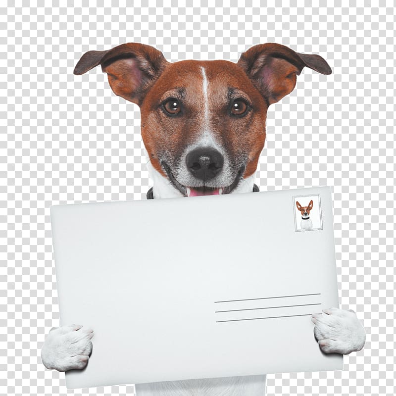 Dog walking Pet sitting Puppy, envelope mail transparent background PNG clipart