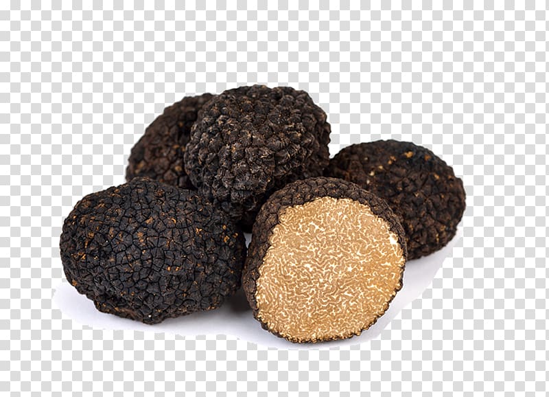 Chocolate truffle Tuber aestivum Périgord black truffle Acqualagna, trufas transparent background PNG clipart