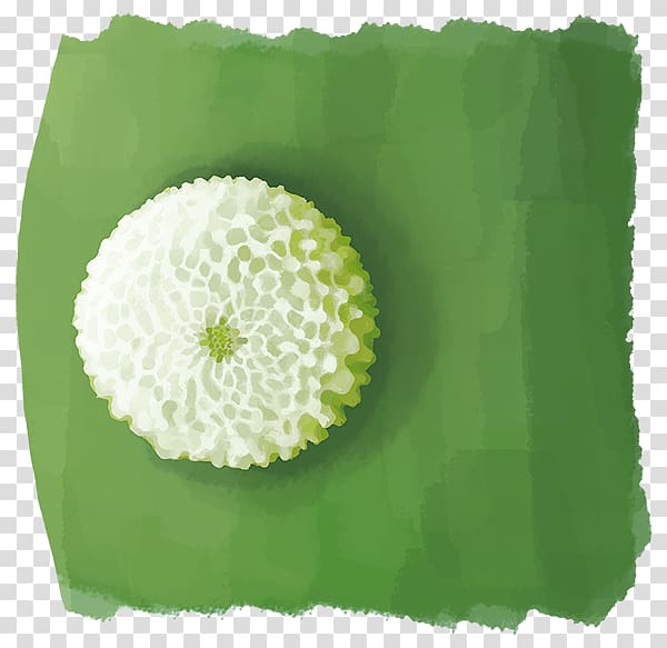 Flower Petal Green, medicago transparent background PNG clipart