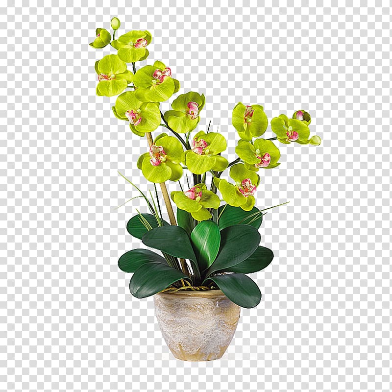 Moth orchids Artificial flower Plant stem, hydrangea transparent background PNG clipart