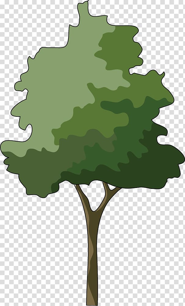 Branch Japanese maple Tree , Trees Illustrations transparent background PNG clipart