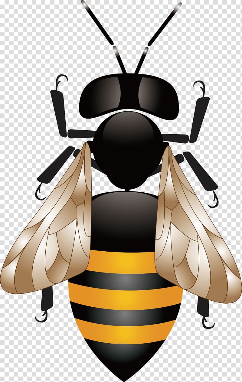 Honey bee Honeycomb Beehive, Bee transparent background PNG clipart