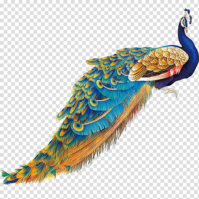 peacock , China Bird Peafowl Feather, Lifelike peacock tail transparent background PNG clipart