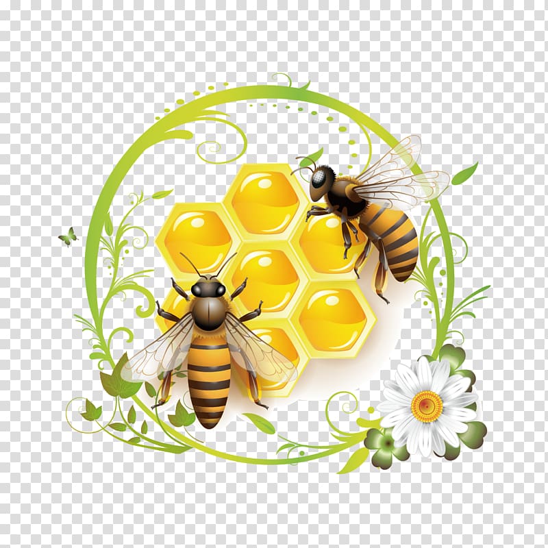 bees on beehive art, Honey bee , Bees and honey transparent background PNG clipart
