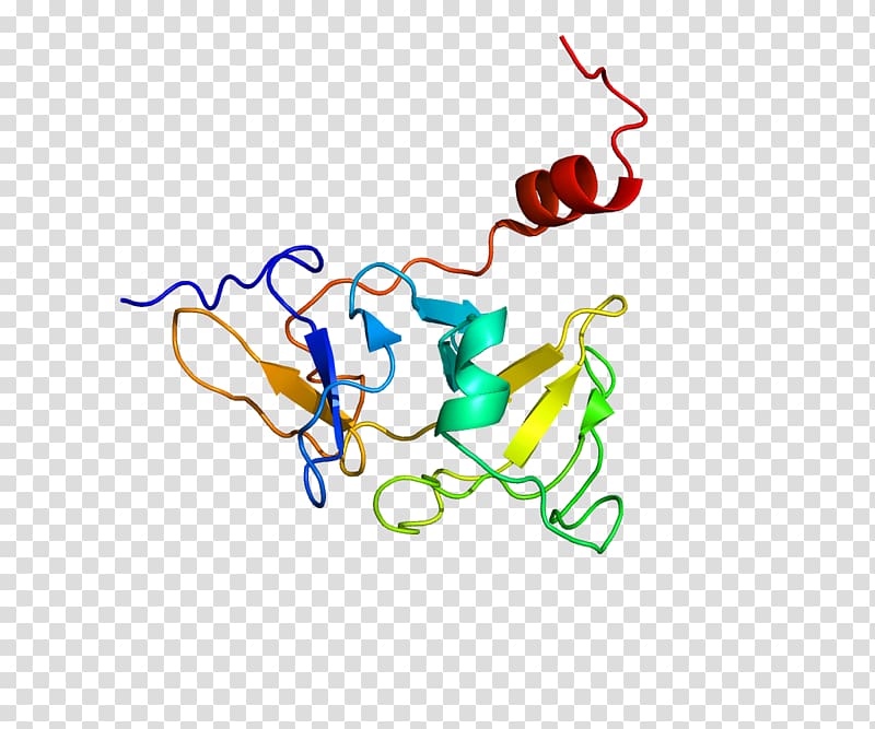 LGP2 RIG-I-like receptor Helicase Gene, others transparent background PNG clipart