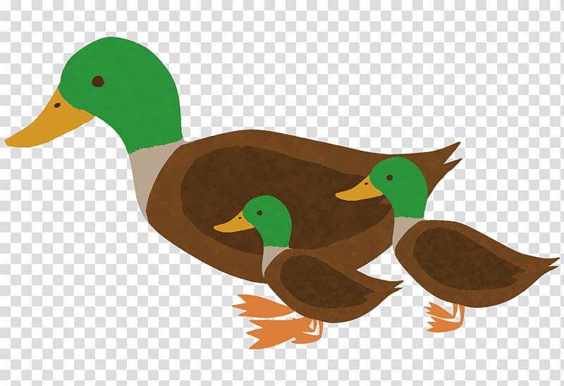 Mallard Duck Politician Prime Minister of Japan, duck transparent background PNG clipart