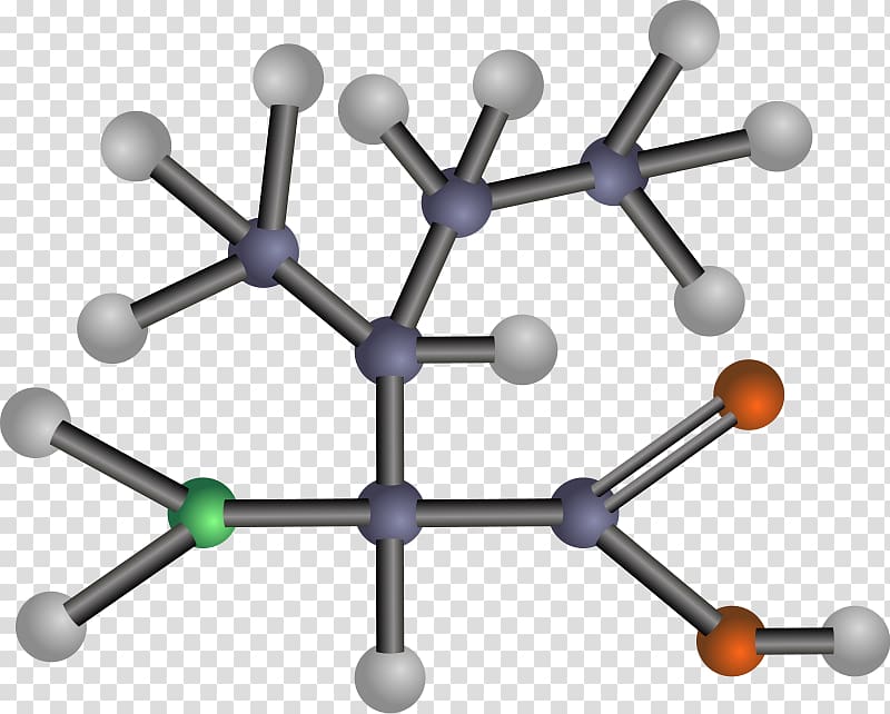 Essential amino acid Asparagine Amine, acid transparent background PNG clipart
