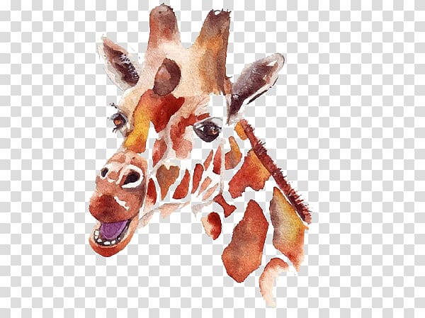Northern giraffe Watercolor painting Drawing Illustration, Hand-painted giraffe illustration transparent background PNG clipart