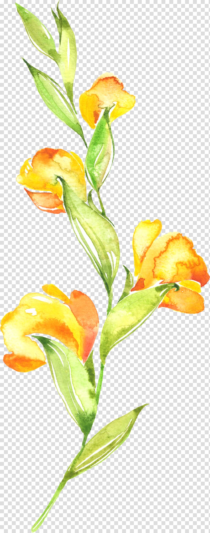 flowers material flower material transparent background PNG clipart