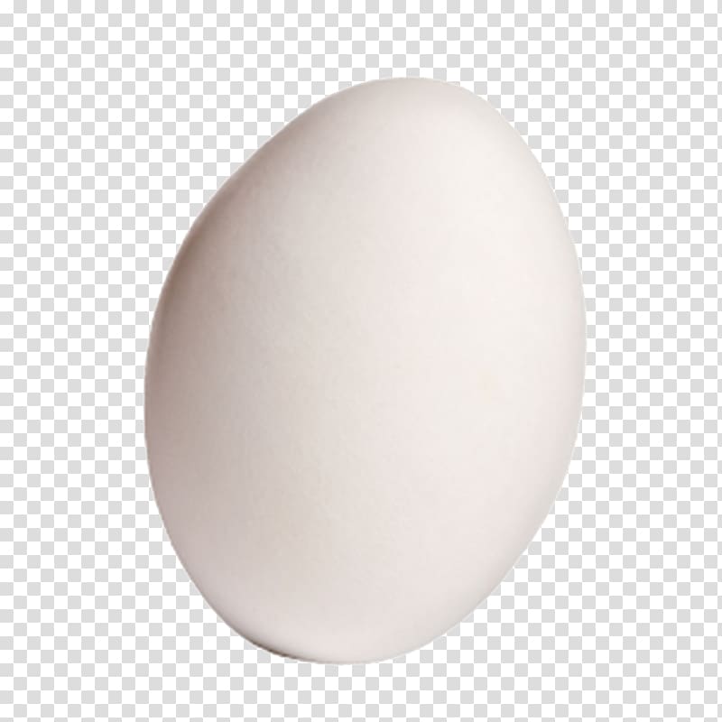 Domestic goose Egg, A goose transparent background PNG clipart