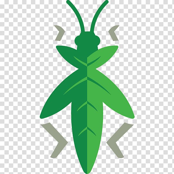 Content Grasshopper Marketing Business Touch Football Australia Information, grasshopper transparent background PNG clipart