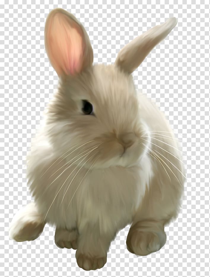 Easter Bunny Rabbit , Cute Painted Bunny , white rabbit transparent background PNG clipart