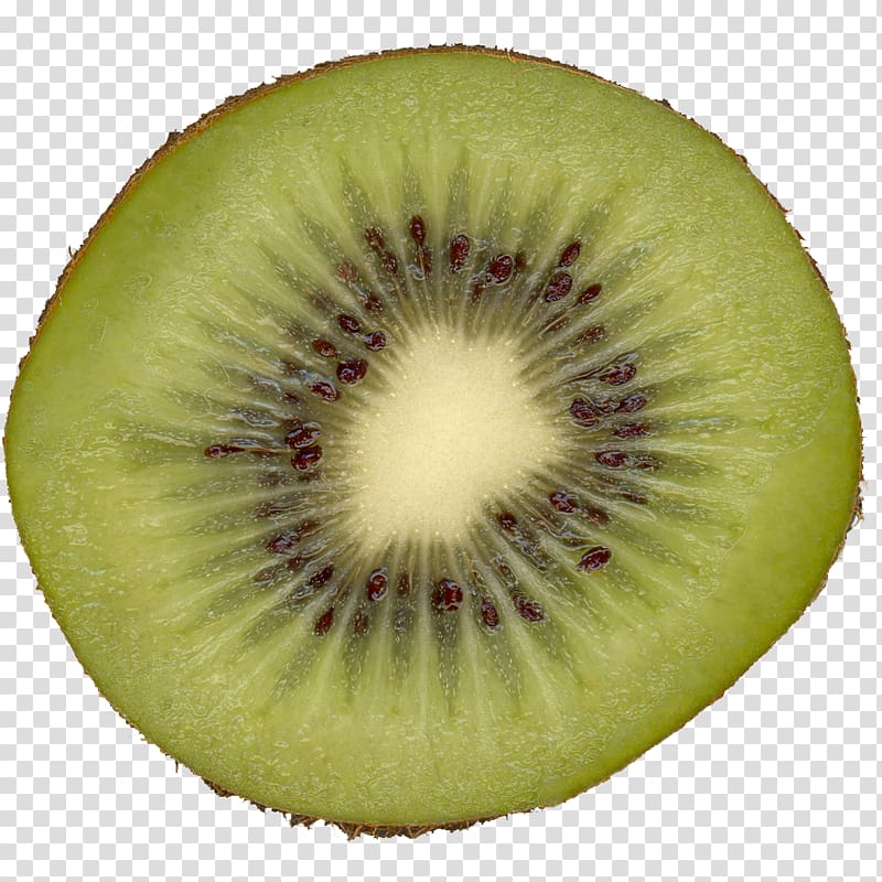 Kiwifruit Slice Melon, kiwi transparent background PNG clipart