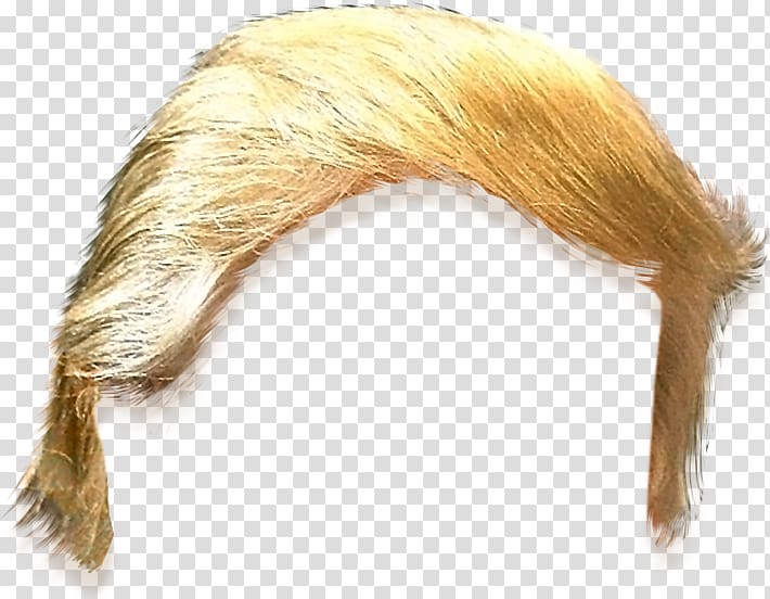 blonde hairstyle, United States Trump Hair , hairstyle template transparent background PNG clipart