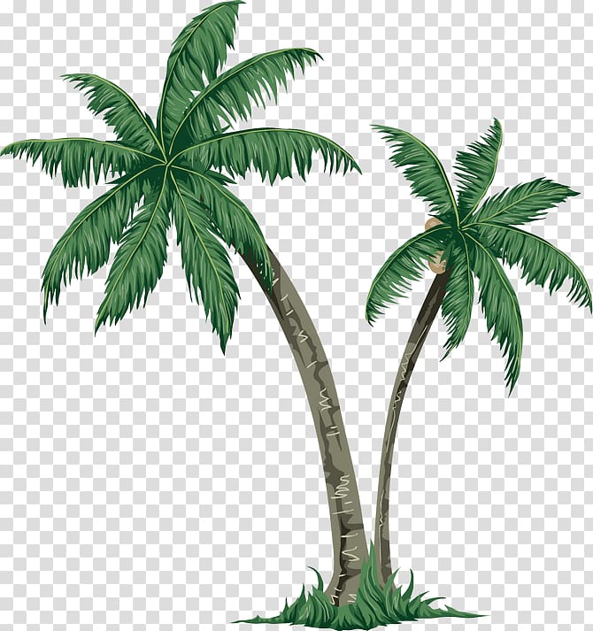Arecaceae Tree Paper , Coconut tree island transparent background PNG clipart