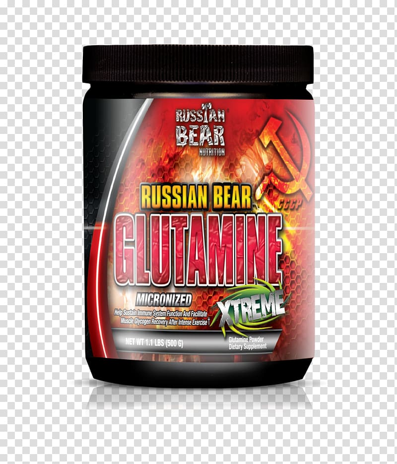 Dietary supplement Russian Bear Glutamine Bodybuilding supplement, russian bear transparent background PNG clipart