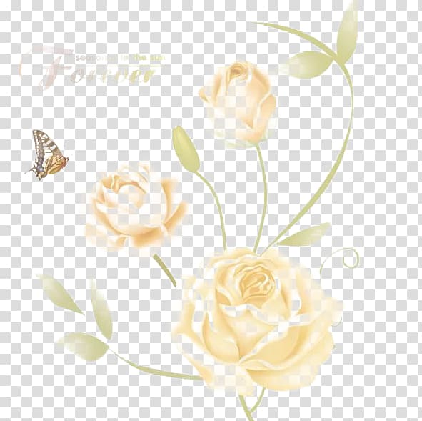 Garden roses Butterfly Beach rose, Rose attract butterflies transparent background PNG clipart