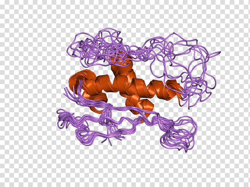 Protein SNX1 Sortilin 1 Gene Retromer, epidermal growth factor receptor transparent background PNG clipart