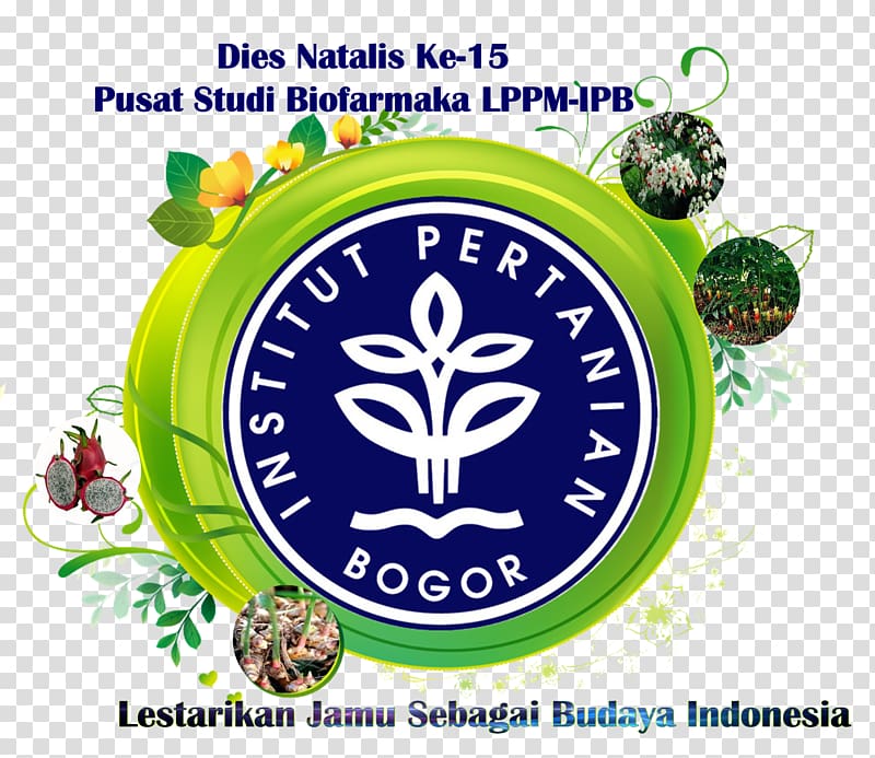 Bogor Agricultural University Airlangga University Agriculture Binus University, kunyit transparent background PNG clipart