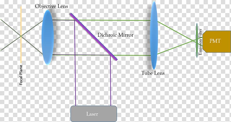 Confocal microscopy Light Lens Objective Microscope, fluorescence transparent background PNG clipart