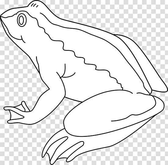 frog-black-and-white-bumpy-frog-transparent-background-png-clipart