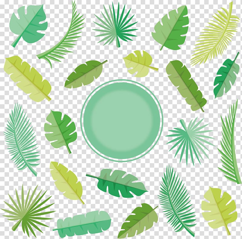 Leaf Euclidean Arecaceae, coconut leaf transparent background PNG clipart