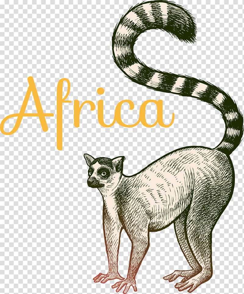 cartoon ring-tailed lemur transparent background PNG clipart
