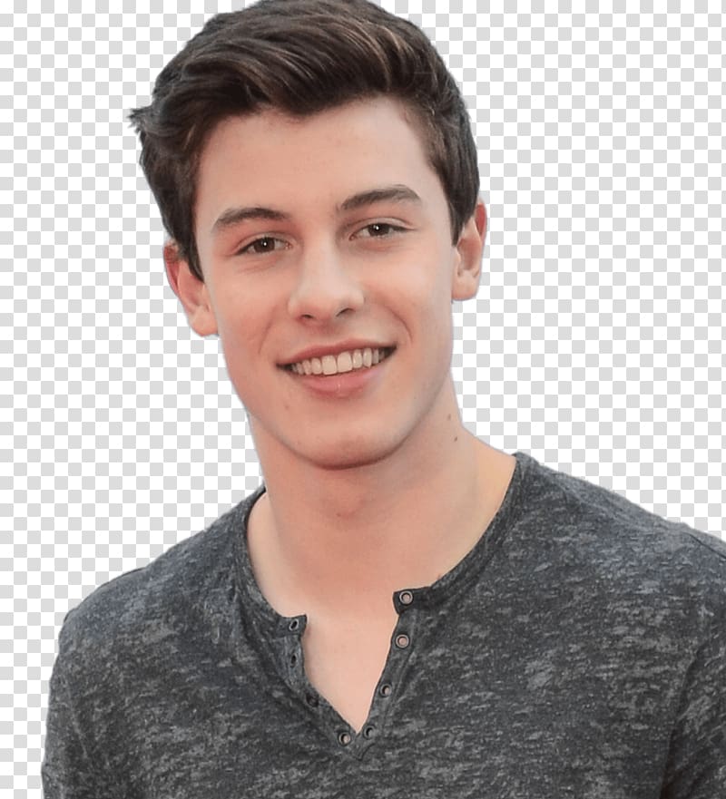 Shawn Mendes Hairstyle Model Beard, hair transparent background PNG clipart