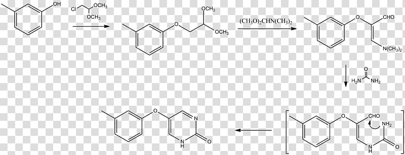 Rutin Halogenation Flavonoid Chemical reaction Electrophilic substitution, synthesis transparent background PNG clipart