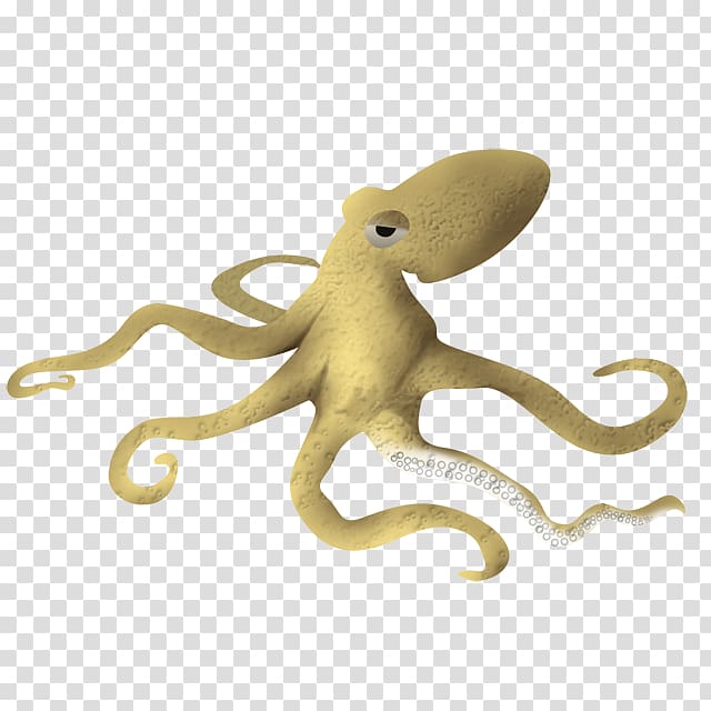 Octopus, pelicano transparent background PNG clipart