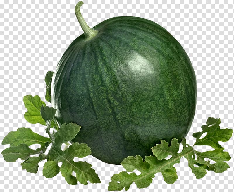 Watermelon Citrullus lanatus Cassava , watermelon transparent background PNG clipart