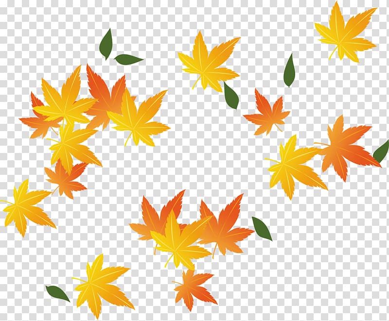 Red maple Maple leaf, Painted yellow maple leaves falling transparent background PNG clipart