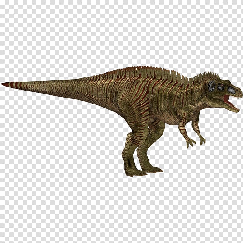 Tyrannosaurus Acrocanthosaurus Jurassic Park: Operation Genesis Velociraptor Primal Carnage: Extinction, jurassic park transparent background PNG clipart