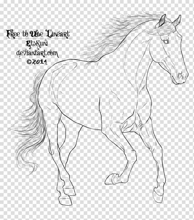 Arabian horse Mustang Line art Pony Drawing, galloping horse transparent background PNG clipart